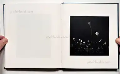 Sample page 2 for book "Martinot, Marjolein – Marjolein Martinot - Riverland" Sample page 2 for book "Martinot, Marjolein – Marjolein Martinot - Riverland"