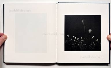 Sample page 17 for book Marjolein Martinot &ndash; Riverland