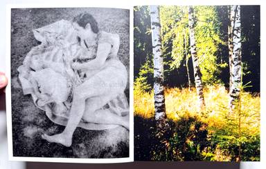 Sample page 2 for book  J.H.  Engstr&ouml;m &ndash; Dimma Brume Mist