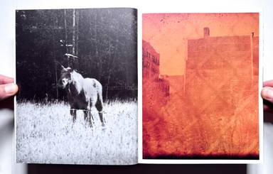 Sample page 10 for book  J.H.  Engstr&ouml;m &ndash; Dimma Brume Mist