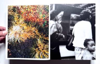 Sample page 16 for book  J.H.  Engstr&ouml;m &ndash; Dimma Brume Mist