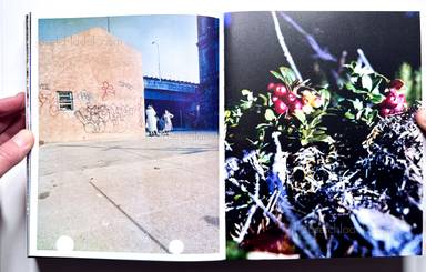 Sample page 31 for book  J.H.  Engstr&ouml;m &ndash; Dimma Brume Mist