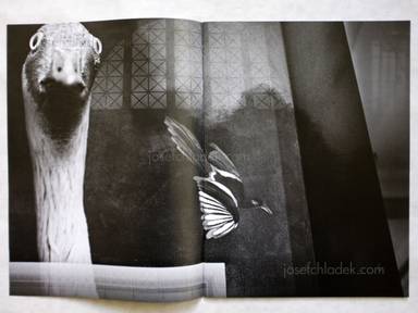 Sample page 8 for book "Brittan, Philip J – Philip J Brittan - Natural History" Sample page 8 for book "Brittan, Philip J – Philip J Brittan - Natural History"