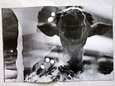 Sample page 4 for book "Brittan, Philip J – Philip J Brittan - Natural History" Sample page 4 for book "Brittan, Philip J – Philip J Brittan - Natural History"