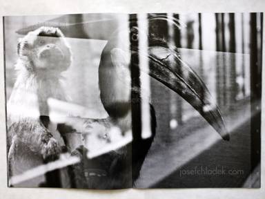 Sample page 3 for book "Brittan, Philip J – Philip J Brittan - Natural History" Sample page 3 for book "Brittan, Philip J – Philip J Brittan - Natural History"