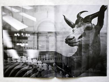 Sample page 2 for book "Brittan, Philip J – Philip J Brittan - Natural History" Sample page 2 for book "Brittan, Philip J – Philip J Brittan - Natural History"