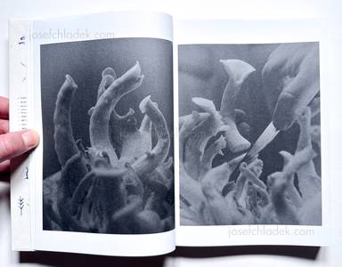 Sample page 4 for book Joselito Verschaeve &ndash; As Long as the Sun Lasts