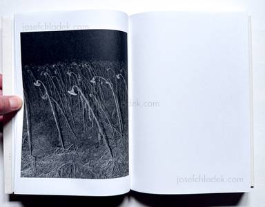 Sample page 9 for book Joselito Verschaeve &ndash; As Long as the Sun Lasts