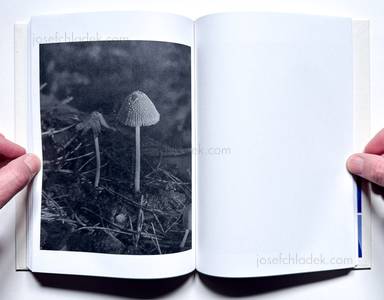 Sample page 19 for book Joselito Verschaeve &ndash; As Long as the Sun Lasts