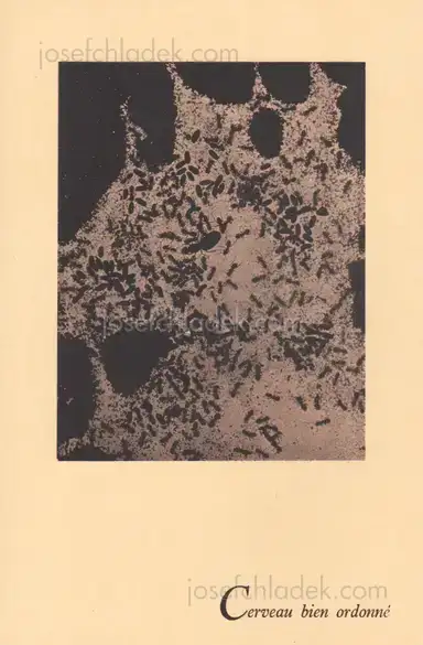 Sample page 11 for book "Ray, Man – Man Ray - Photographie n'est pas L'Art" Sample page 11 for book "Ray, Man – Man Ray - Photographie n'est pas L'Art"