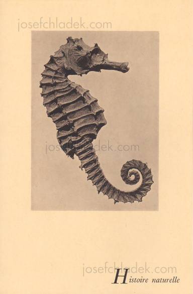 Sample page 9 for book  Man Ray &ndash; Photographie n'est pas L'Art