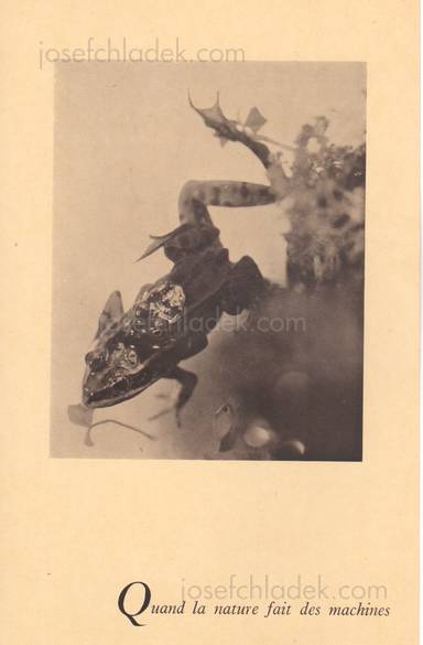 Sample page 13 for book  Man Ray &ndash; Photographie n'est pas L'Art