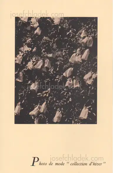 Sample page 3 for book "Ray, Man – Man Ray - Photographie n'est pas L'Art" Sample page 3 for book "Ray, Man – Man Ray - Photographie n'est pas L'Art"