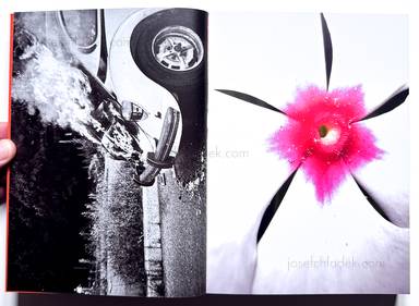 Sample page 2 for book Jeff Mermelstein &ndash; What if Jeff were a Butterfly?