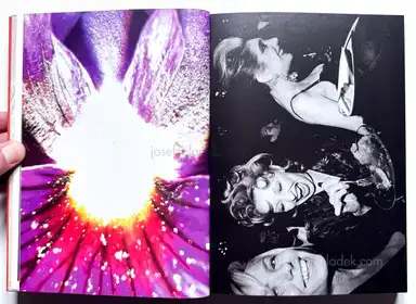 Sample page 27 for book "Mermelstein, Jeff – Jeff Mermelstein - What if Jeff were a Butterfly?" Sample page 27 for book "Mermelstein, Jeff – Jeff Mermelstein - What if Jeff were a Butterfly?"