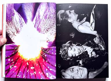 Sample page 5 for book Jeff Mermelstein &ndash; What if Jeff were a Butterfly?