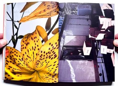 Sample page 7 for book Jeff Mermelstein &ndash; What if Jeff were a Butterfly?