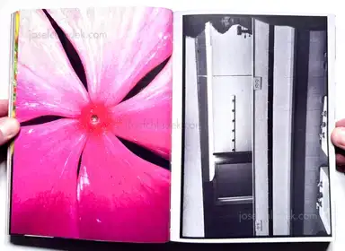 Sample page 23 for book "Mermelstein, Jeff – Jeff Mermelstein - What if Jeff were a Butterfly?" Sample page 23 for book "Mermelstein, Jeff – Jeff Mermelstein - What if Jeff were a Butterfly?"