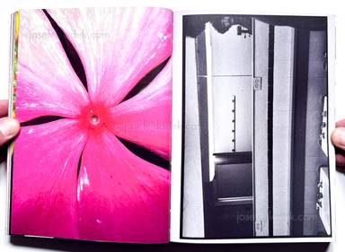 Sample page 9 for book Jeff Mermelstein &ndash; What if Jeff were a Butterfly?