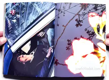 Sample page 22 for book "Mermelstein, Jeff – Jeff Mermelstein - What if Jeff were a Butterfly?" Sample page 22 for book "Mermelstein, Jeff – Jeff Mermelstein - What if Jeff were a Butterfly?"