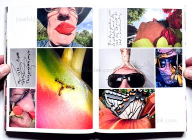 Sample page 21 for book "Mermelstein, Jeff – Jeff Mermelstein - What if Jeff were a Butterfly?" Sample page 21 for book "Mermelstein, Jeff – Jeff Mermelstein - What if Jeff were a Butterfly?"