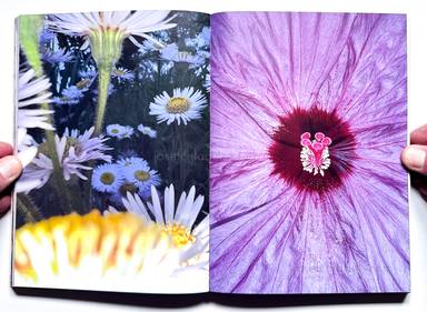 Sample page 18 for book "Mermelstein, Jeff – Jeff Mermelstein - What if Jeff were a Butterfly?" Sample page 18 for book "Mermelstein, Jeff – Jeff Mermelstein - What if Jeff were a Butterfly?"