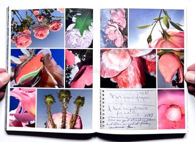 Sample page 15 for book Jeff Mermelstein &ndash; What if Jeff were a Butterfly?