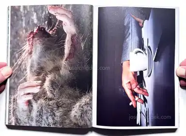 Sample page 16 for book "Mermelstein, Jeff – Jeff Mermelstein - What if Jeff were a Butterfly?" Sample page 16 for book "Mermelstein, Jeff – Jeff Mermelstein - What if Jeff were a Butterfly?"