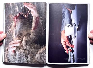 Sample page 16 for book Jeff Mermelstein &ndash; What if Jeff were a Butterfly?