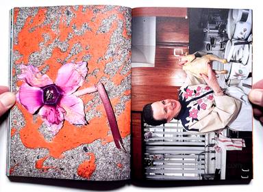 Sample page 15 for book "Mermelstein, Jeff – Jeff Mermelstein - What if Jeff were a Butterfly?" Sample page 15 for book "Mermelstein, Jeff – Jeff Mermelstein - What if Jeff were a Butterfly?"