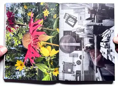 Sample page 12 for book "Mermelstein, Jeff – Jeff Mermelstein - What if Jeff were a Butterfly?" Sample page 12 for book "Mermelstein, Jeff – Jeff Mermelstein - What if Jeff were a Butterfly?"