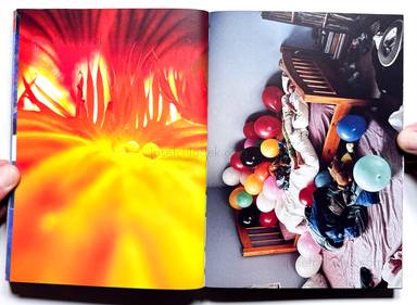 Sample page 27 for book Jeff Mermelstein &ndash; What if Jeff were a Butterfly?