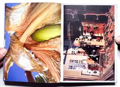 Sample page 4 for book "Mermelstein, Jeff – Jeff Mermelstein - What if Jeff were a Butterfly?" Sample page 4 for book "Mermelstein, Jeff – Jeff Mermelstein - What if Jeff were a Butterfly?"