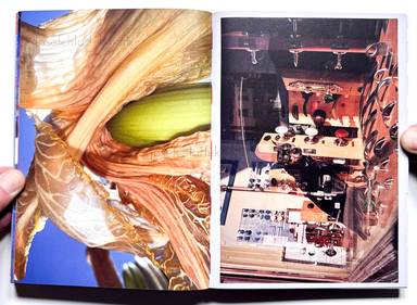 Sample page 28 for book Jeff Mermelstein &ndash; What if Jeff were a Butterfly?