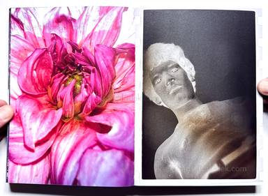 Sample page 29 for book Jeff Mermelstein &ndash; What if Jeff were a Butterfly?