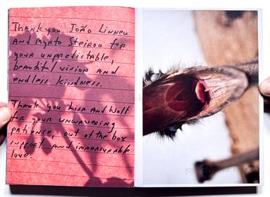 Sample page 1 for book "Mermelstein, Jeff – Jeff Mermelstein - What if Jeff were a Butterfly?" Sample page 1 for book "Mermelstein, Jeff – Jeff Mermelstein - What if Jeff were a Butterfly?"