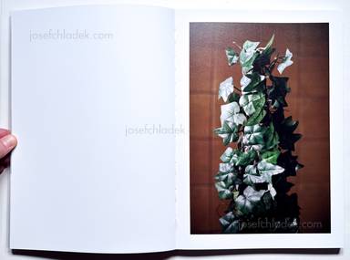 Sample page 1 for book Michael Rathmayr &ndash; Remedy