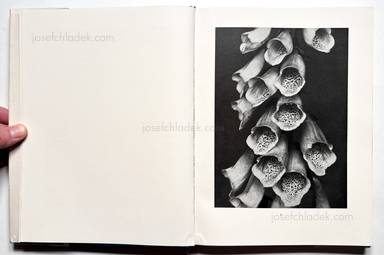 Sample page 1 for book Albert  Renger-Patzsch &ndash; Die Welt ist sch&ouml;n. Einhundert photographische Aufnahmen.