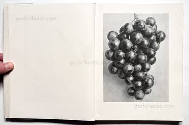 Sample page 2 for book Albert  Renger-Patzsch &ndash; Die Welt ist sch&ouml;n. Einhundert photographische Aufnahmen.