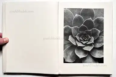 Sample page 49 for book "Renger-Patzsch, Albert – Albert Renger-Patzsch - Die Welt ist schön. Einhundert photographische Aufnahmen." Sample page 49 for book "Renger-Patzsch, Albert – Albert Renger-Patzsch - Die Welt ist schön. Einhundert photographische Aufnahmen."