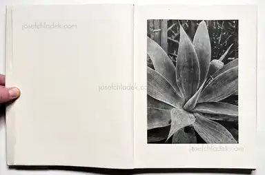 Sample page 48 for book "Renger-Patzsch, Albert – Albert Renger-Patzsch - Die Welt ist schön. Einhundert photographische Aufnahmen." Sample page 48 for book "Renger-Patzsch, Albert – Albert Renger-Patzsch - Die Welt ist schön. Einhundert photographische Aufnahmen."