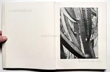 Sample page 47 for book "Renger-Patzsch, Albert – Albert Renger-Patzsch - Die Welt ist schön. Einhundert photographische Aufnahmen." Sample page 47 for book "Renger-Patzsch, Albert – Albert Renger-Patzsch - Die Welt ist schön. Einhundert photographische Aufnahmen."