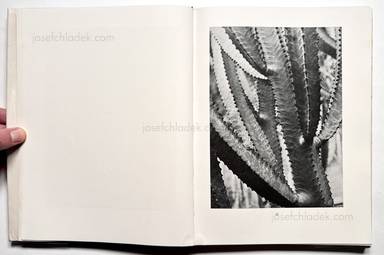 Sample page 5 for book Albert  Renger-Patzsch &ndash; Die Welt ist sch&ouml;n. Einhundert photographische Aufnahmen.