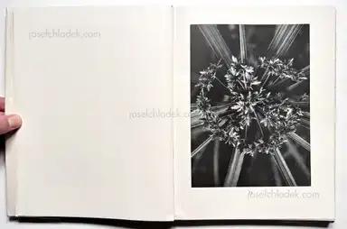 Sample page 46 for book "Renger-Patzsch, Albert – Albert Renger-Patzsch - Die Welt ist schön. Einhundert photographische Aufnahmen." Sample page 46 for book "Renger-Patzsch, Albert – Albert Renger-Patzsch - Die Welt ist schön. Einhundert photographische Aufnahmen."