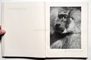 Sample page 8 for book Albert  Renger-Patzsch &ndash; Die Welt ist sch&ouml;n. Einhundert photographische Aufnahmen.