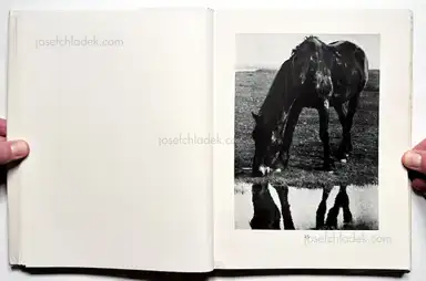 Sample page 42 for book "Renger-Patzsch, Albert – Albert Renger-Patzsch - Die Welt ist schön. Einhundert photographische Aufnahmen." Sample page 42 for book "Renger-Patzsch, Albert – Albert Renger-Patzsch - Die Welt ist schön. Einhundert photographische Aufnahmen."