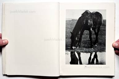 Sample page 10 for book Albert  Renger-Patzsch &ndash; Die Welt ist sch&ouml;n. Einhundert photographische Aufnahmen.