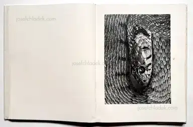 Sample page 41 for book "Renger-Patzsch, Albert – Albert Renger-Patzsch - Die Welt ist schön. Einhundert photographische Aufnahmen." Sample page 41 for book "Renger-Patzsch, Albert – Albert Renger-Patzsch - Die Welt ist schön. Einhundert photographische Aufnahmen."