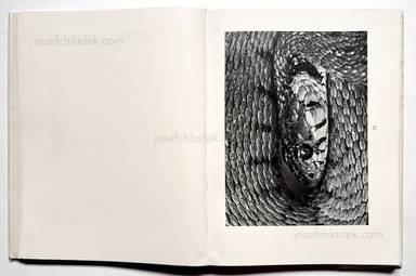 Sample page 11 for book Albert  Renger-Patzsch &ndash; Die Welt ist sch&ouml;n. Einhundert photographische Aufnahmen.