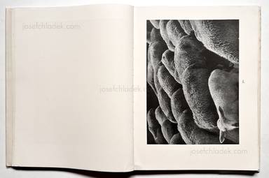 Sample page 12 for book Albert  Renger-Patzsch &ndash; Die Welt ist sch&ouml;n. Einhundert photographische Aufnahmen.